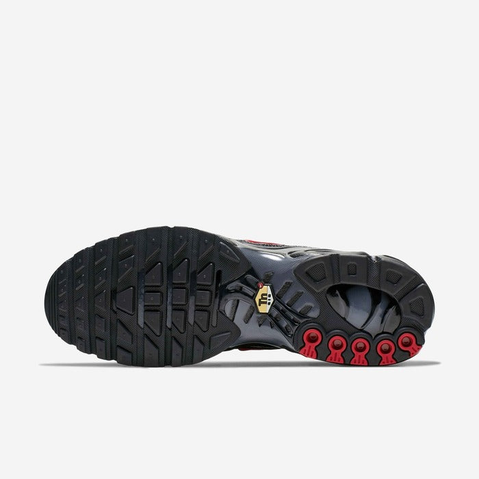 NK Air Max Plus Men's Shoes